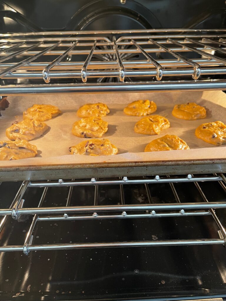 Chickpea Peanut Butter Chocolate Chip Cookies