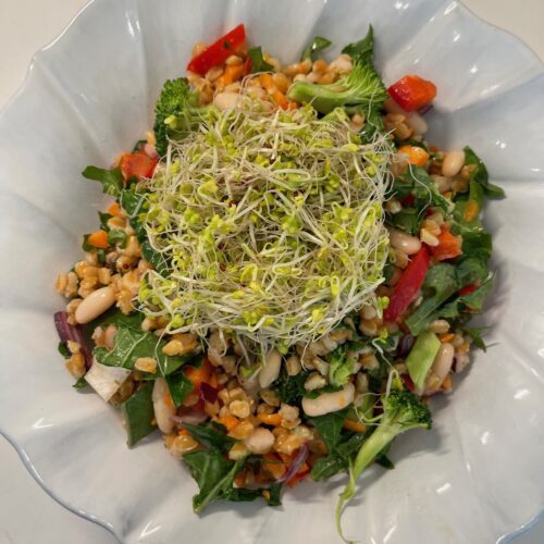 Summer Farro White Bean and Veggie Salad in a bowl.